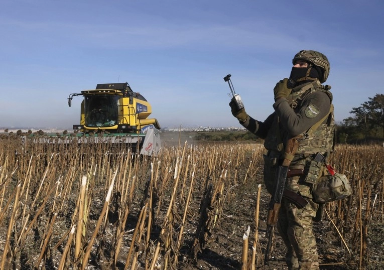 Svijet treba ukrajinsko žito. Farmeri sve manje vide smisao u sjetvi